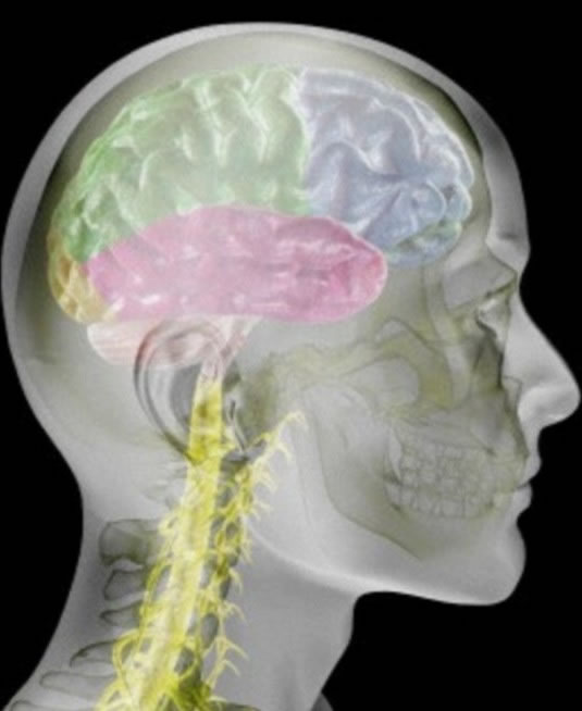 �о�ָ�����̻����˸��Ǵ��Ե�Ƥ��䱡��