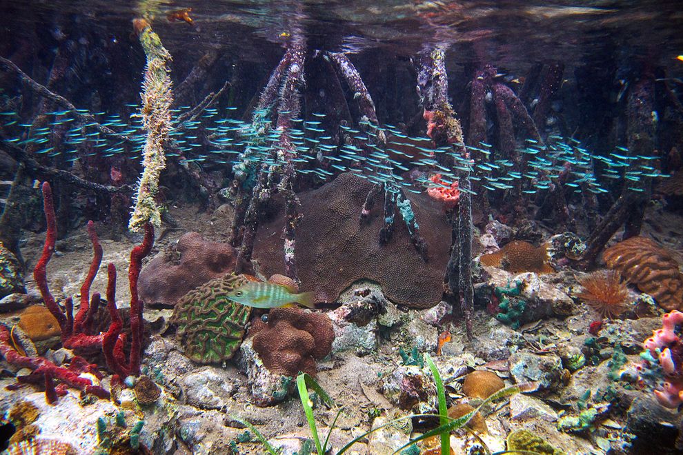 ɺڵвɺ֣ںֵܵ Photograph by Caroline Rogers