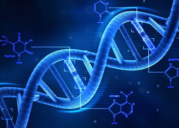 ��ѧ��ָDNAӵ���Ӵ����ϴ�������