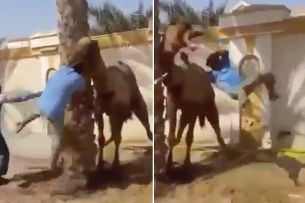 ���Ӽ�ŭ�������סͷ�������ת