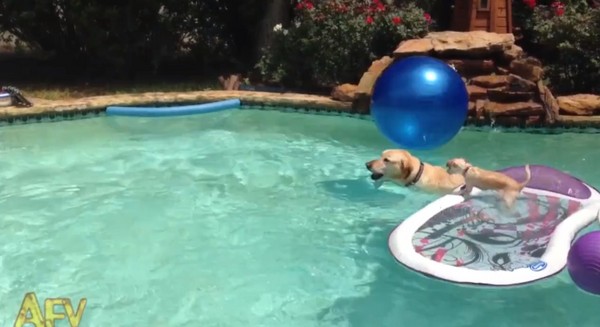 һֻ��������ˮ�д���������㳵 ����ֱ��̫����