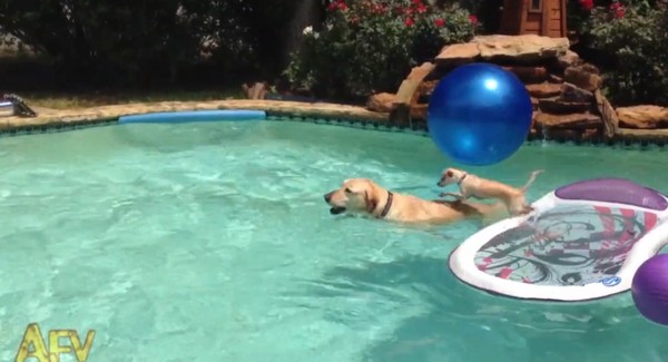 һֻ��������ˮ�д���������㳵 ����ֱ��̫����