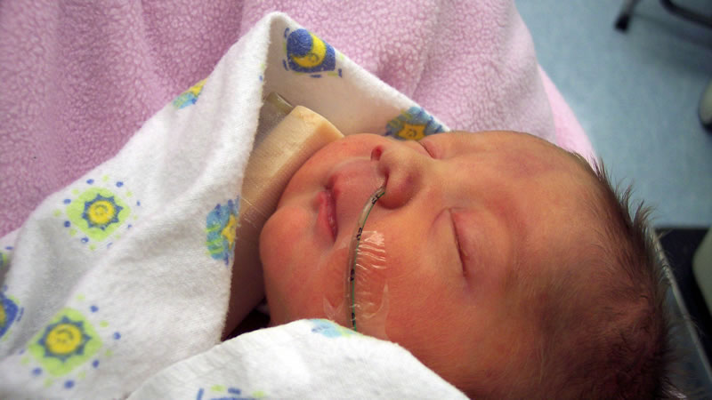 ĸ�׵�������̥���ڴ��ԵĿ�����