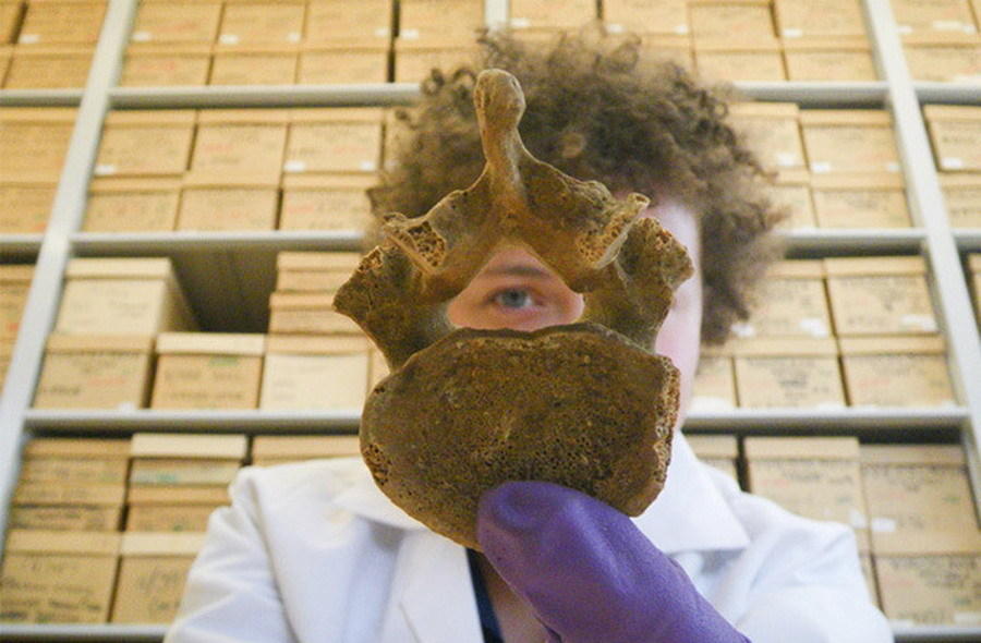 埃及拥有世界最早的政府医疗保健