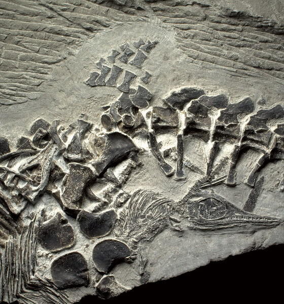 ���ڷ���֮�еĴ�������ʯ