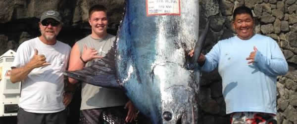 美国小伙随祖父在夏威夷海岸边钓鱼 钓到一条4.3米长巨型枪鱼