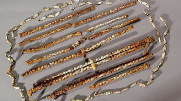 �¹������ڴ�����̽�����屦�ز����зǷ��ھ�