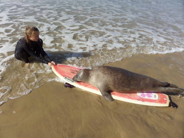 ����You̫���ˣ����˿Ͱ���������˿רҳ��������Ϊ��·С���ǡ�