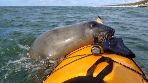 ����You̫���ˣ����˿Ͱ���������˿רҳ��������Ϊ��·С���ǡ�