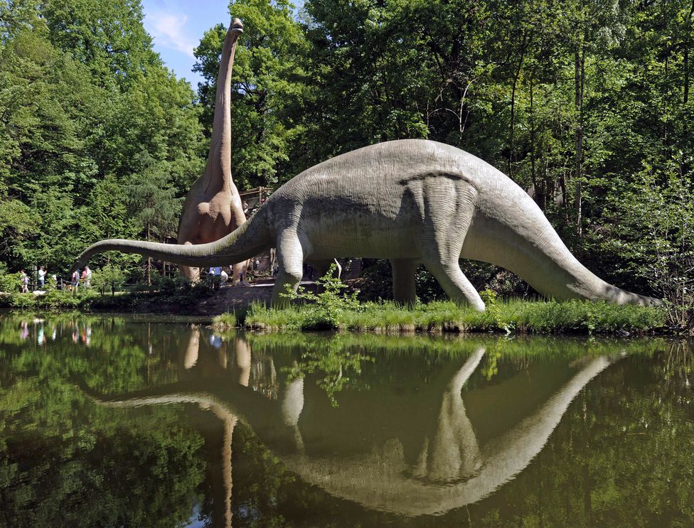 2013年,德国包森附近的恐龙公园里,游客们经过腕龙(Brachiosaurus,左)以及梁龙(Diplodocus,右)的模型。 Photograph By