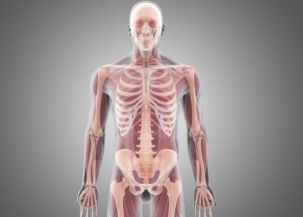 ����Τ������2���ڿ�ʵ����ͷ��ֲ����