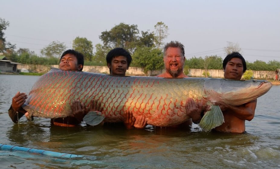 ̩߷ا4Ӳһش460ľ޻