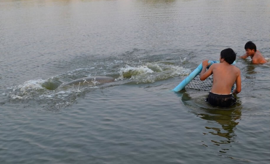 ̩߷ا4Ӳһش460ľ޻