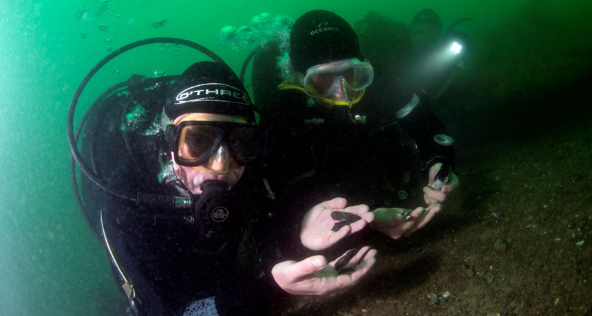 Сִ࿪ʼֲ֮ǰ2000Ѿ벻еߵ