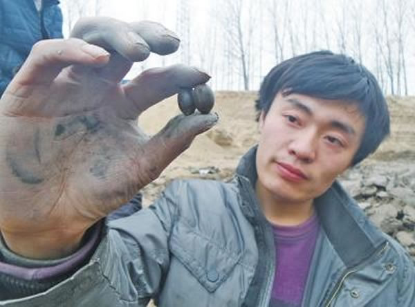 村民展示找到的“千年莲子”。