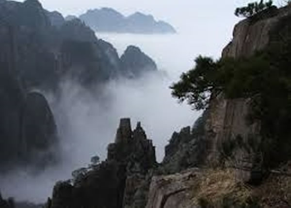 ��ɽ��ѡ�������ܻ�ӭ���ҹ�԰