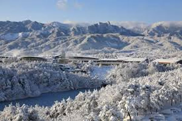 ѩ��ɽ������԰���Ϊ����֮ѡ