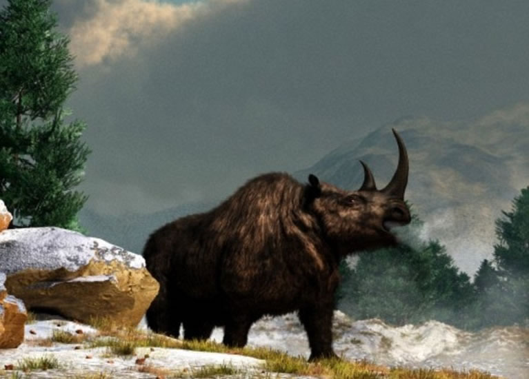 ��ëϬţ�Ѿ��ֶ���