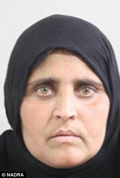 �������ϡ����ҵ�����־������İ�����������ŮSharbat Gulaα���ļ�����