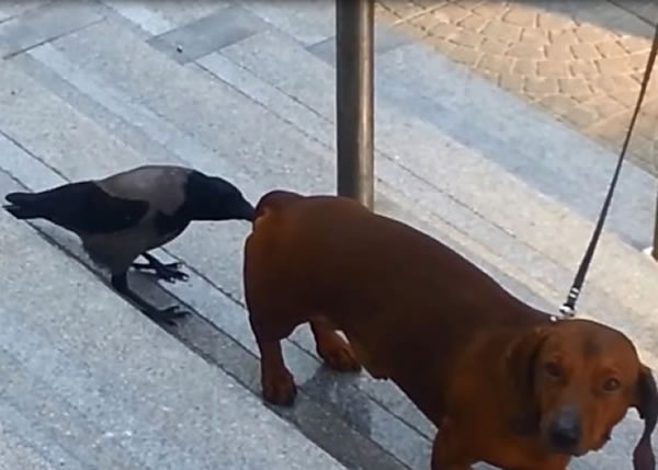 ��ѻͻȻ�Ӻ��Ĺ�ƨ��