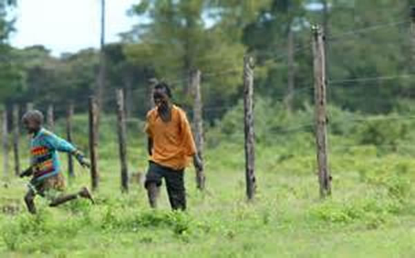 ������ΪҰ�����ｨ��Χ��