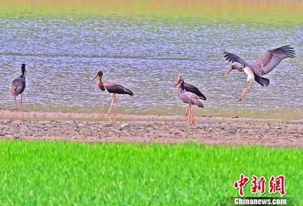 �����Σ���ݡ�����һ���ص㱣������������������˲�