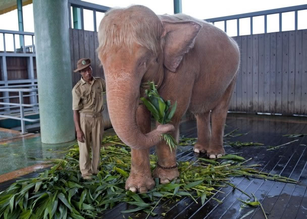 ����ٴβ���Ұ���������󡣣�����ͼƬ��