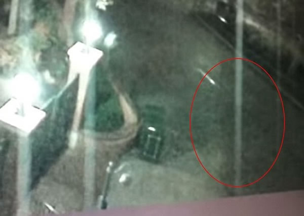 Ƭ���еĹ��꣨��Ȧ������԰���Ĵ�Ʈ�����ƺ���԰�ڲιۡ�