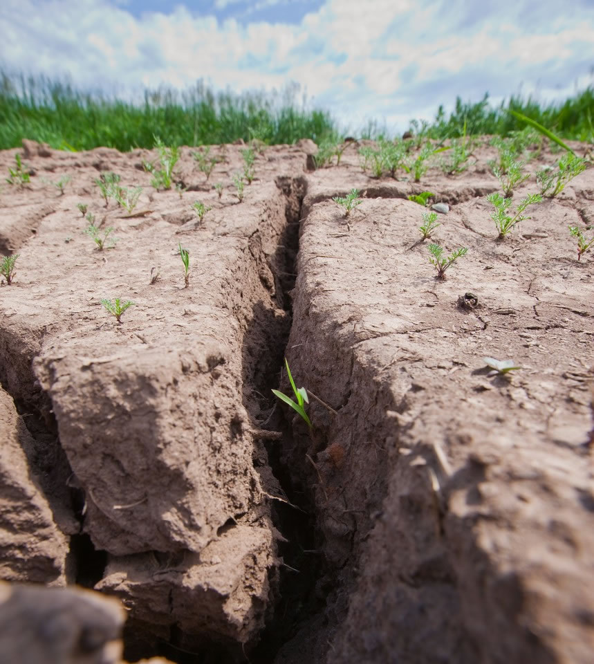 ȫ���ů�뵼��Ŀǰ�������������Ǹɺ�����ů������Ļ����ĸ���֮�������ϵ