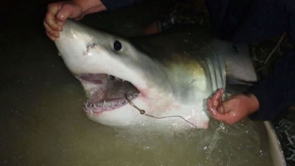 �������������һ��������վ�ں����ߵ���ȴ����һ�������