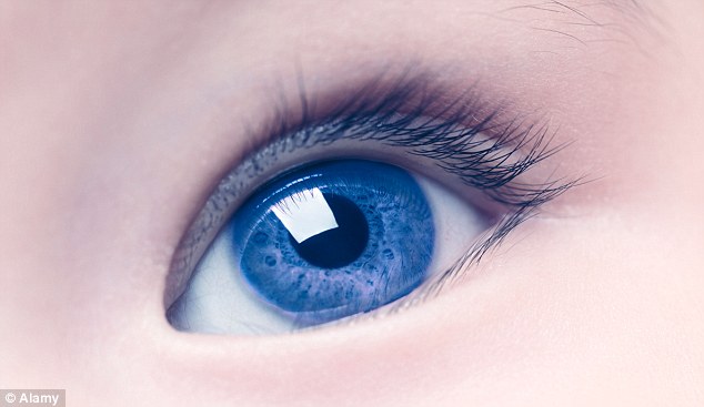 我们的祖先看不到蓝色?