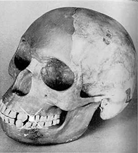 �ٶ�����