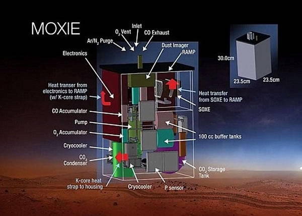 ��Moxie����Ҫ������������