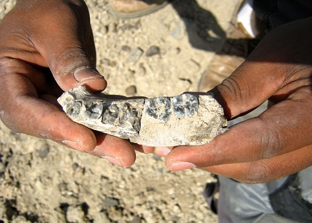 ްǰ280ǰǻʯLD 350-1 Դ40