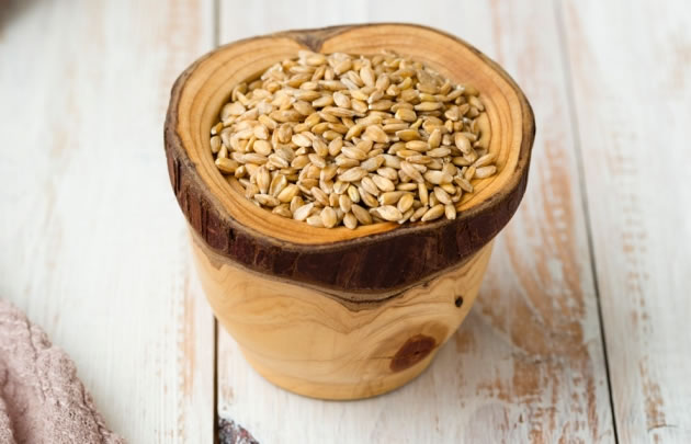 这是一碗单粒小麦,约1 万年前在安纳托利亚种植的便是这类谷物。(Mandy Reschke/Corbis)