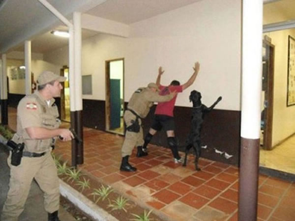 主人趴墙被警察搜身 忠犬也摆同一姿势不离不弃