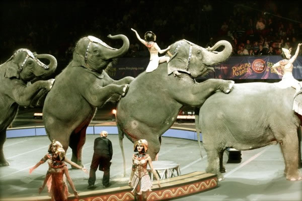 �����������ֵ������ķ������Ϸ�š�����3����ȡ���������괫ͳ�Ĵ������