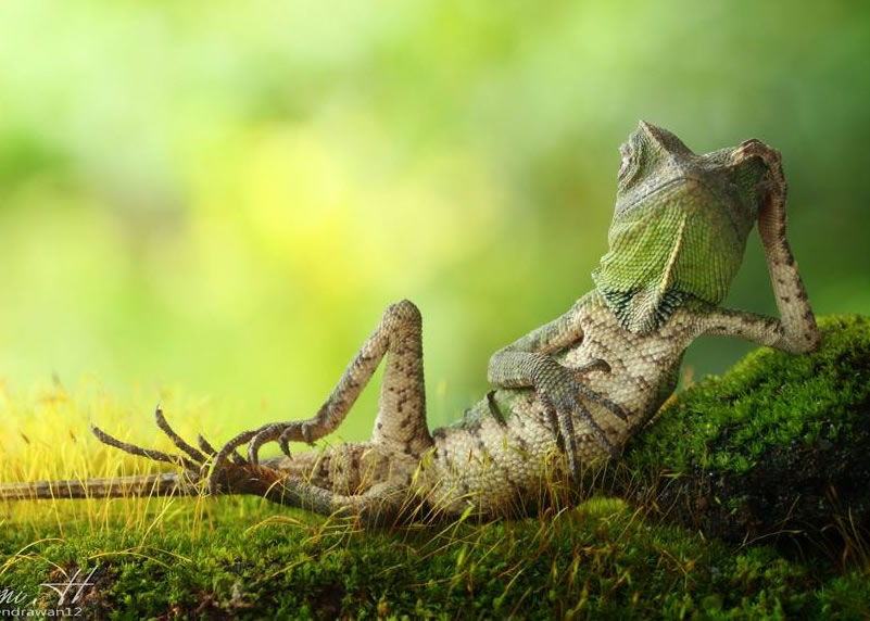 ��ɫ����̬�������Բݵأ���Ϊʱװ�ܿ��ķ����Ůģ�ض����졣