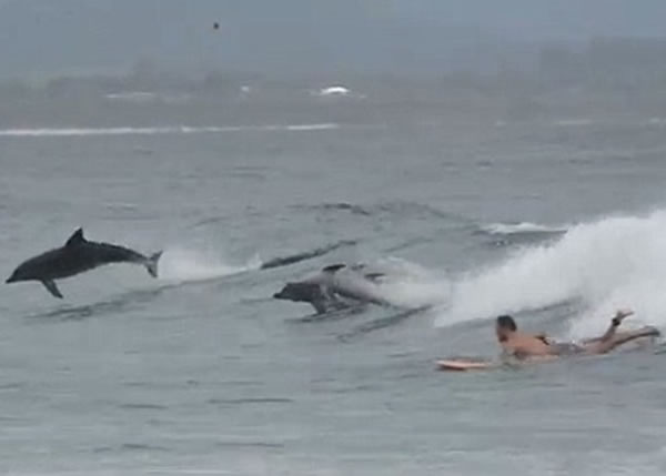 ���������ڻ�����ʿ���ڷ���Ծ����ò����ֺ���