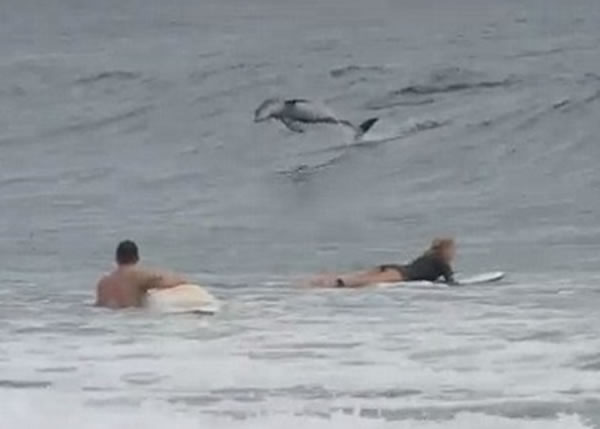 �����ڻ��˿�ǰ�����֣����߿����Ŀ���ࡣ