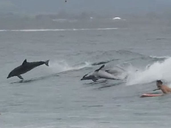 �����ں��˼䴩�󣬺������ˡ�