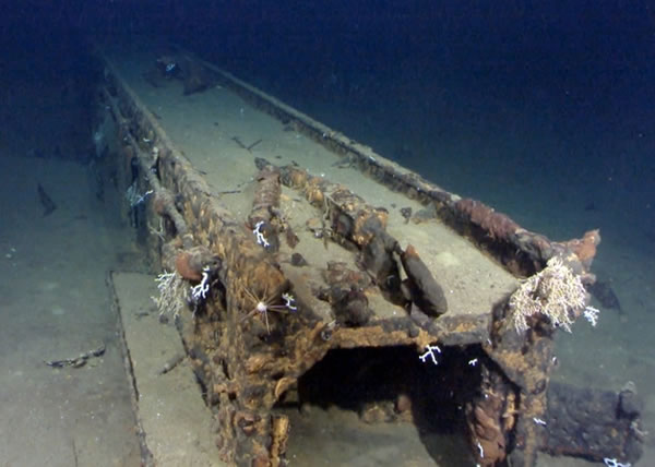 武藏号的遗骸已海草丛生