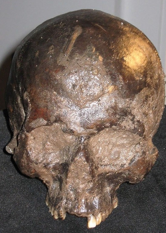 ��ͷ����2009����Լ�˿�������