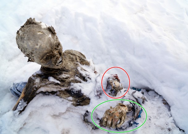 红圈的手及绿圈的手属于两具干尸。其中红圈的手像穿上疑似红色衣物。