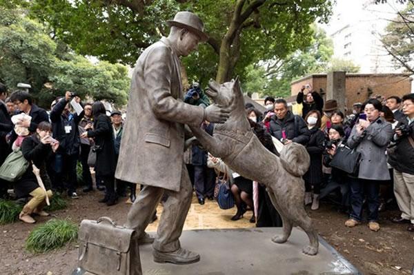 “忠犬八公”扑向上野博士的铜像