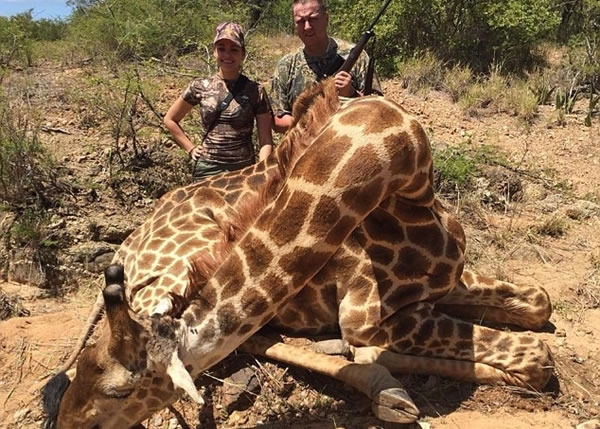 菲亚洛娃目前身在南非,继续猎杀长鹿颈等动物。