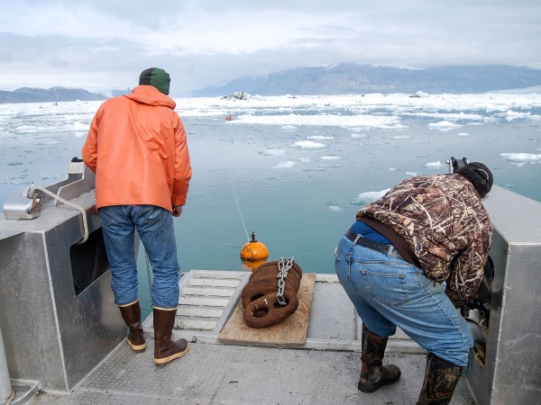 冰川融化的嘶嘶气泡声让海洋变嘈杂