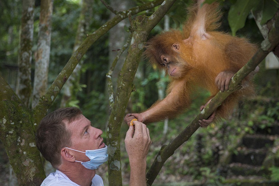 ͵ӴӡݼŴĺëϢرذ