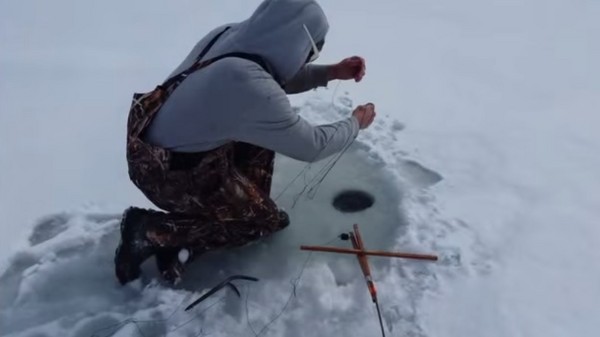 �����������ߺ󣬸���ˮ���������ȫ��������Ԥ�ڡ�