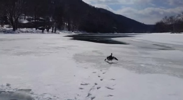 �����������Ҳ��Ѽ���ͷ�